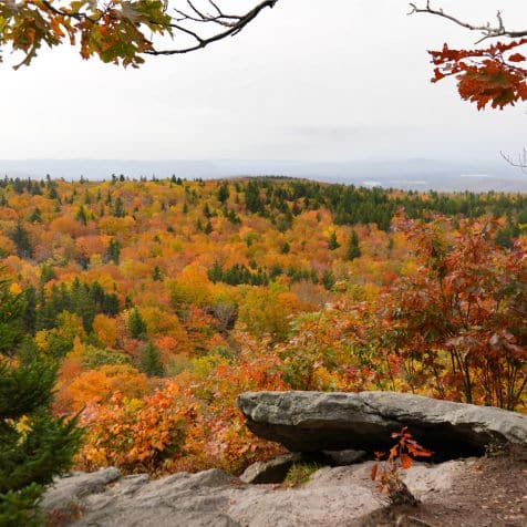 View from Mount Greylock in the fall